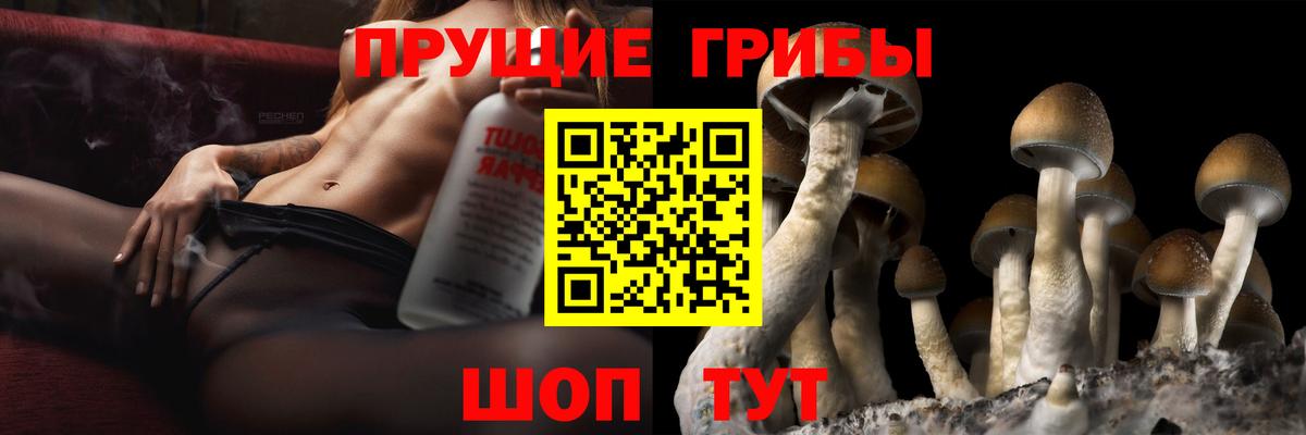 Галлюциногенные грибы GOLDEN TEACHER  Галлюциногенные грибы мухоморы  Вход с VPN  Норильск 